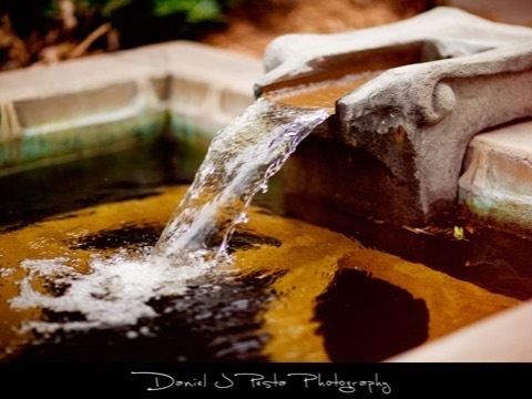 Garden Pool